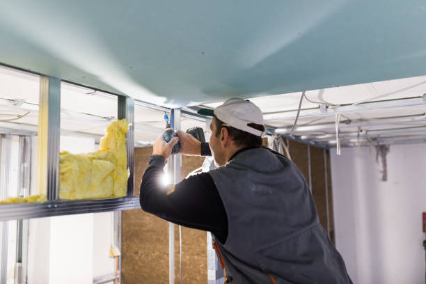 Best Insulation Installation Services in Bon Secour, AL
